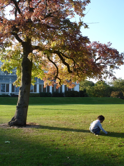 11 Oct Kew 8.jpg